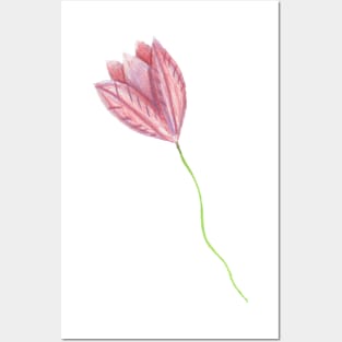 Tulip Posters and Art